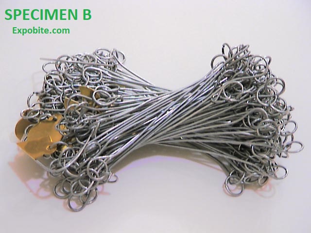 Neco 2021 Agrci Specimen B (SPECIMEN B - Gunters chain)