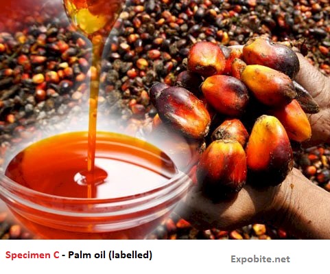Diagram of Specimen C - Palm oil (labelled)