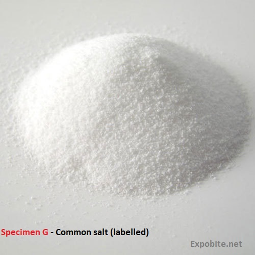 Diagram of Specimen G - Common salt (labelled)