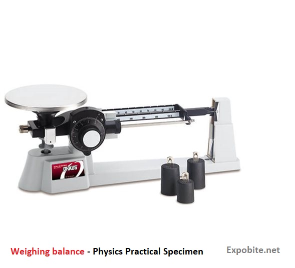 Weighing balance physics practical specimen