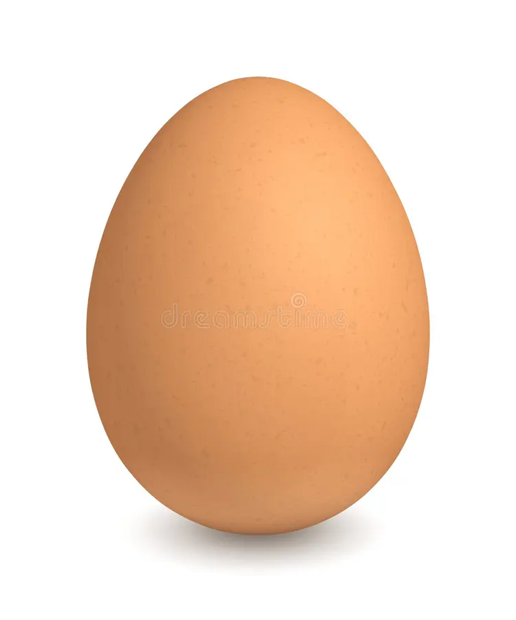 Specimen G: Raw Egg of a Domestic Fowl (Fresh with Shell Intact)